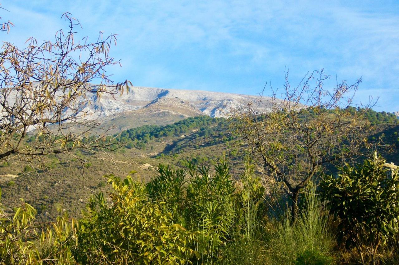 Casa Jardin Natural Sedella المظهر الخارجي الصورة