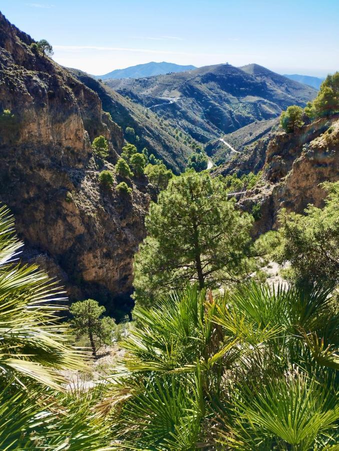 Casa Jardin Natural Sedella المظهر الخارجي الصورة