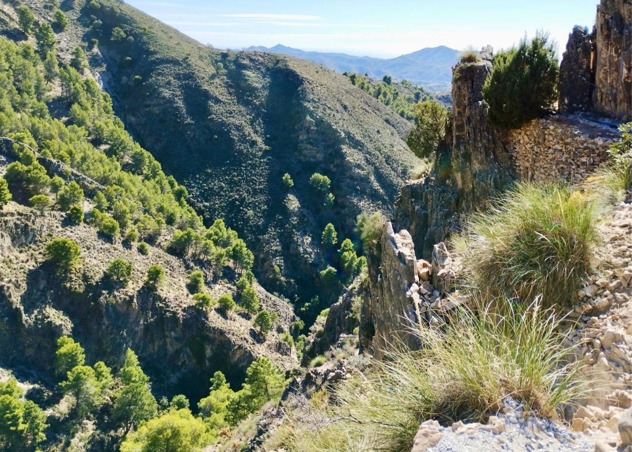Casa Jardin Natural Sedella المظهر الخارجي الصورة