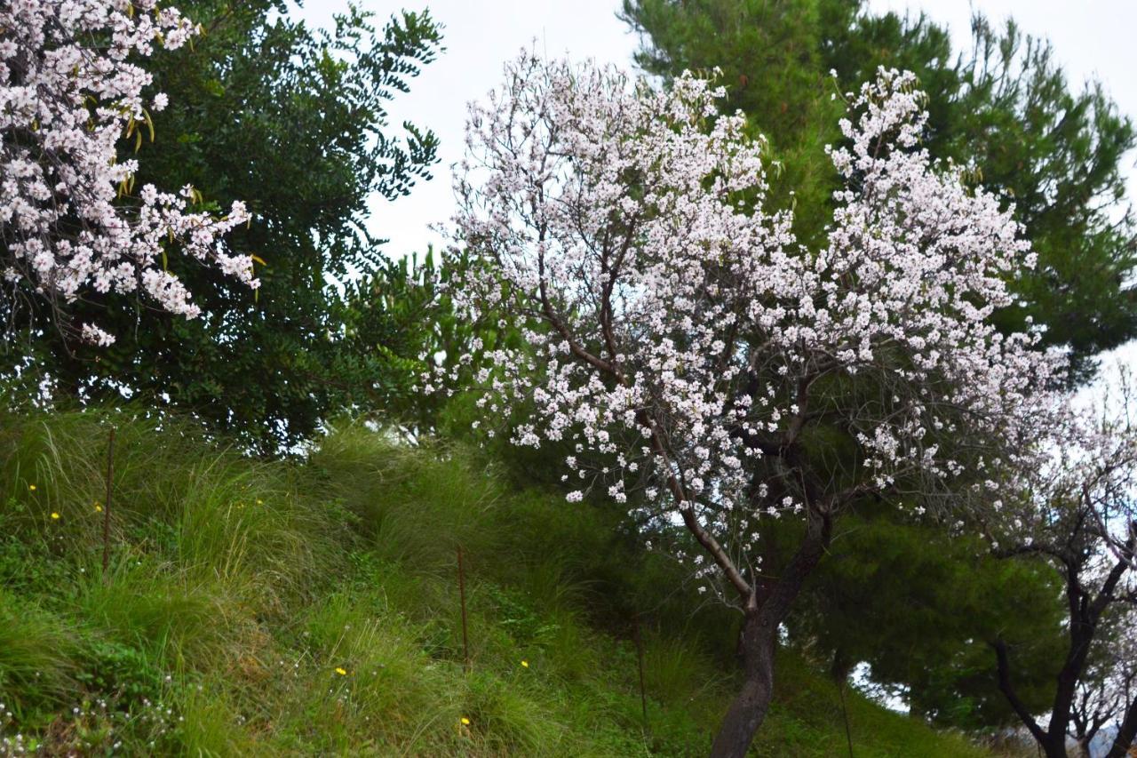 Casa Jardin Natural Sedella المظهر الخارجي الصورة